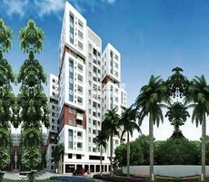 Radiance Mandarin Cozy Featured Image