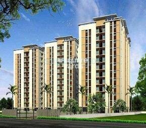 Radiance Realty Shine