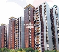 Rainbow Chetna Featured Image