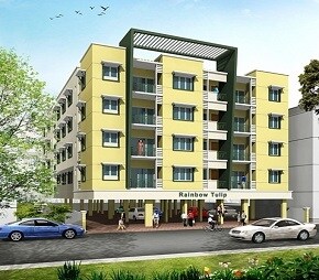 Rainbow Tulip, Purasawakkam, Chennai
