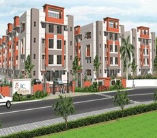 RC Blossoms Featured Image