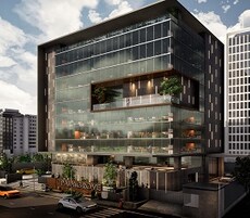 RMS RMM Palmgrove Featured Image