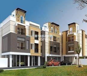 Royal Splendour Aspire