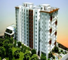 S And S Solitaire Featured Image