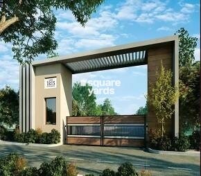 Sameera Iris Featured Image