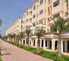 SIS Danube, Pallikaranai, Chennai