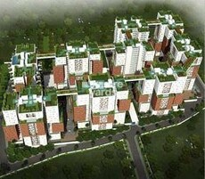 SPRRG Osian Chlorophyll Featured Image