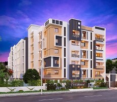 The Nest Mascot Featured Image