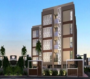 Tulive Forest Wood, Nungambakkam, Chennai