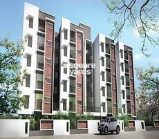 Urban Tree Amaze Featured Image