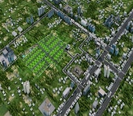 Urban Tree Sapphire Garden Video