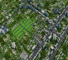 Urban Tree Sapphire Garden Featured Image