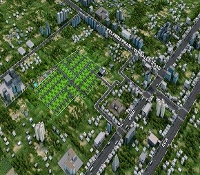 Urban Tree Sapphire Garden