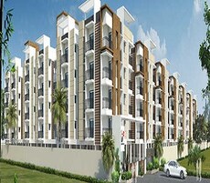 Urban Tree Superb Featured Image