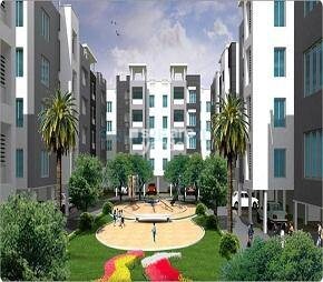 VGN Ferndale