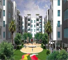 VGN Ferndale Featured Image