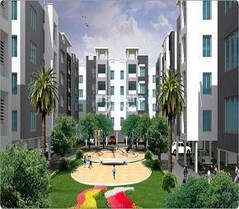 VGN Ferndale