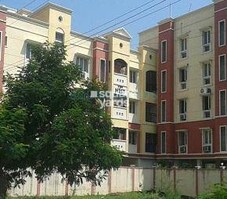 VGN Nest Featured Image