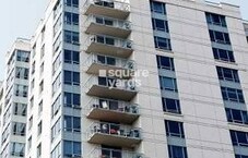 VGN Southern Elegance Featured Image