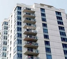 VGN Southern Elegance Featured Image