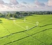 Victory Farm Lands Cover Image