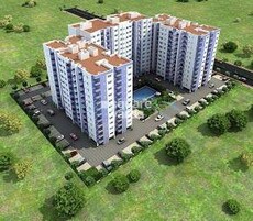 XS Real Harmony Featured Image