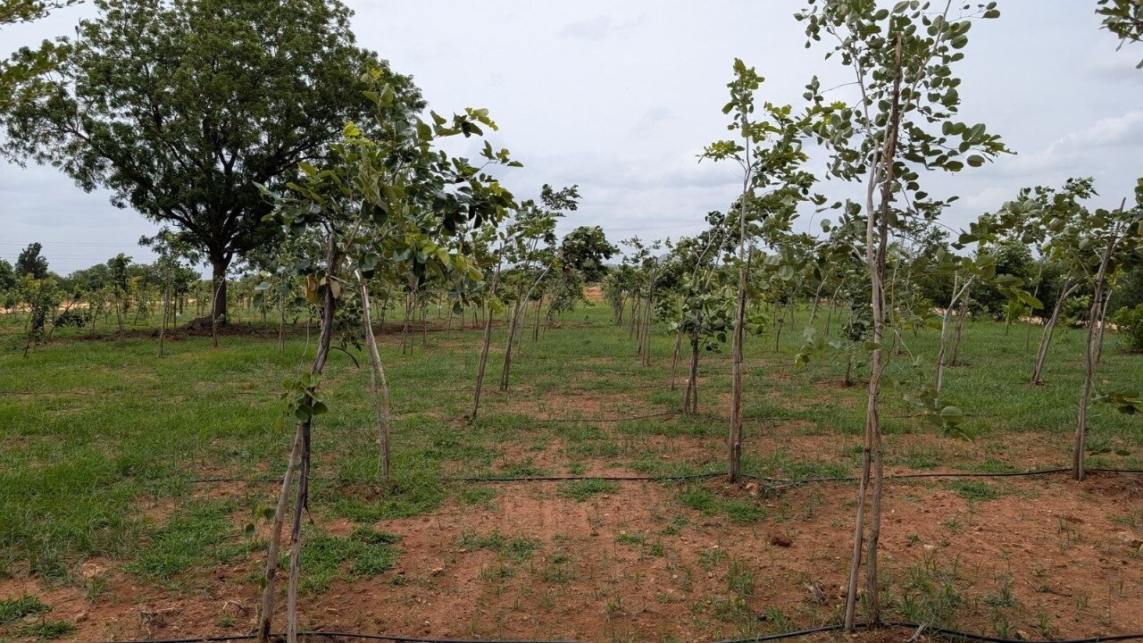 Neralu Korlaparti Plot Images 4