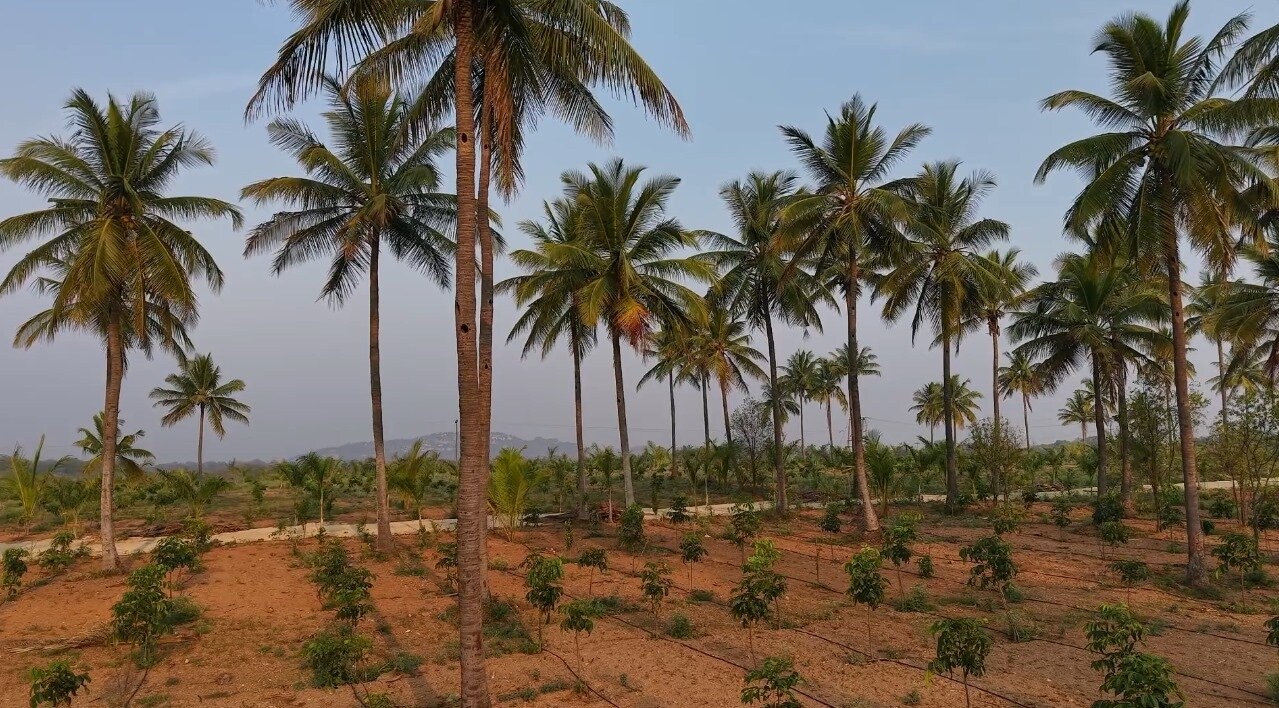 Neralu Korlaparti Plot Images 2