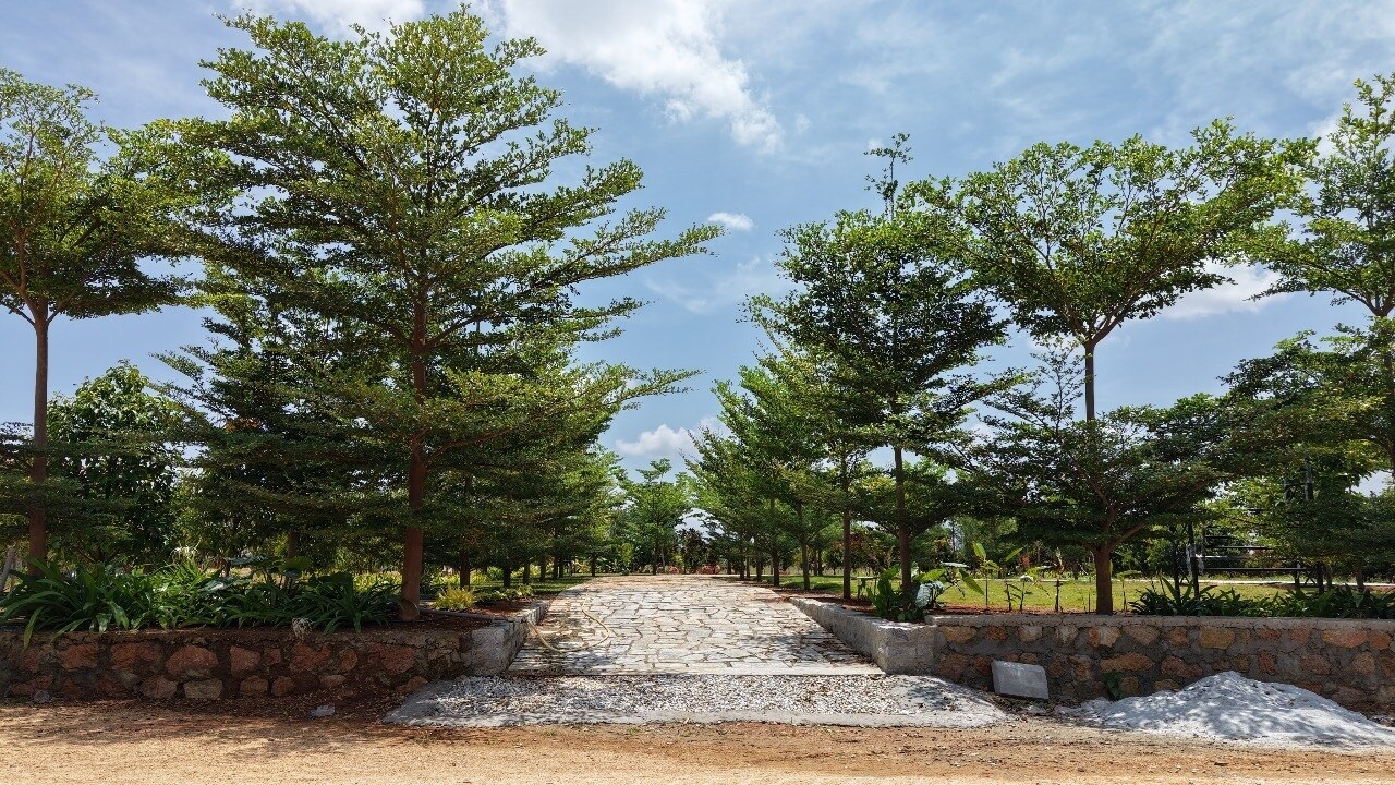 Neralu Sandal Valley Amenities-Features