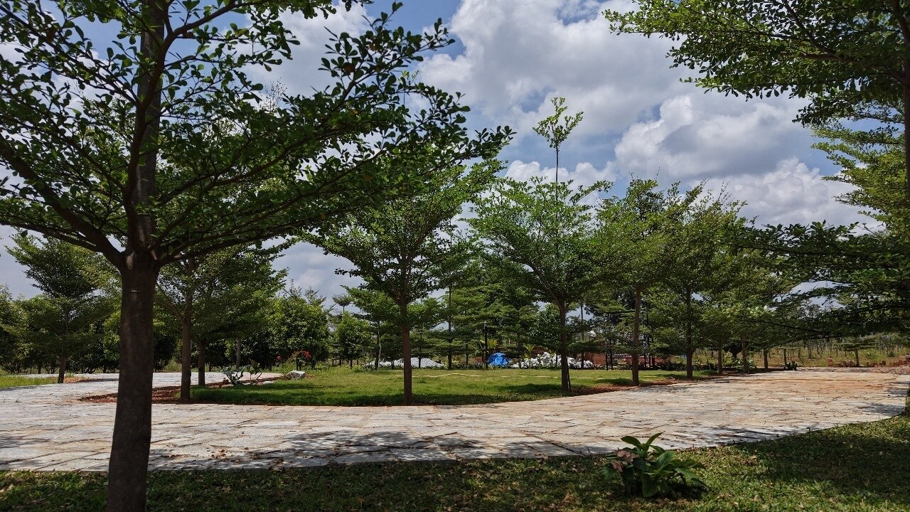 Neralu Sandal Valley