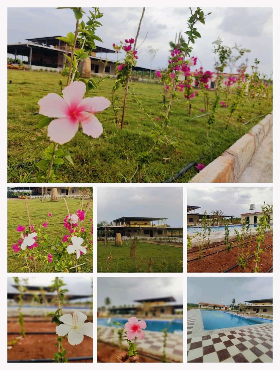 Neralu Sandal Valley