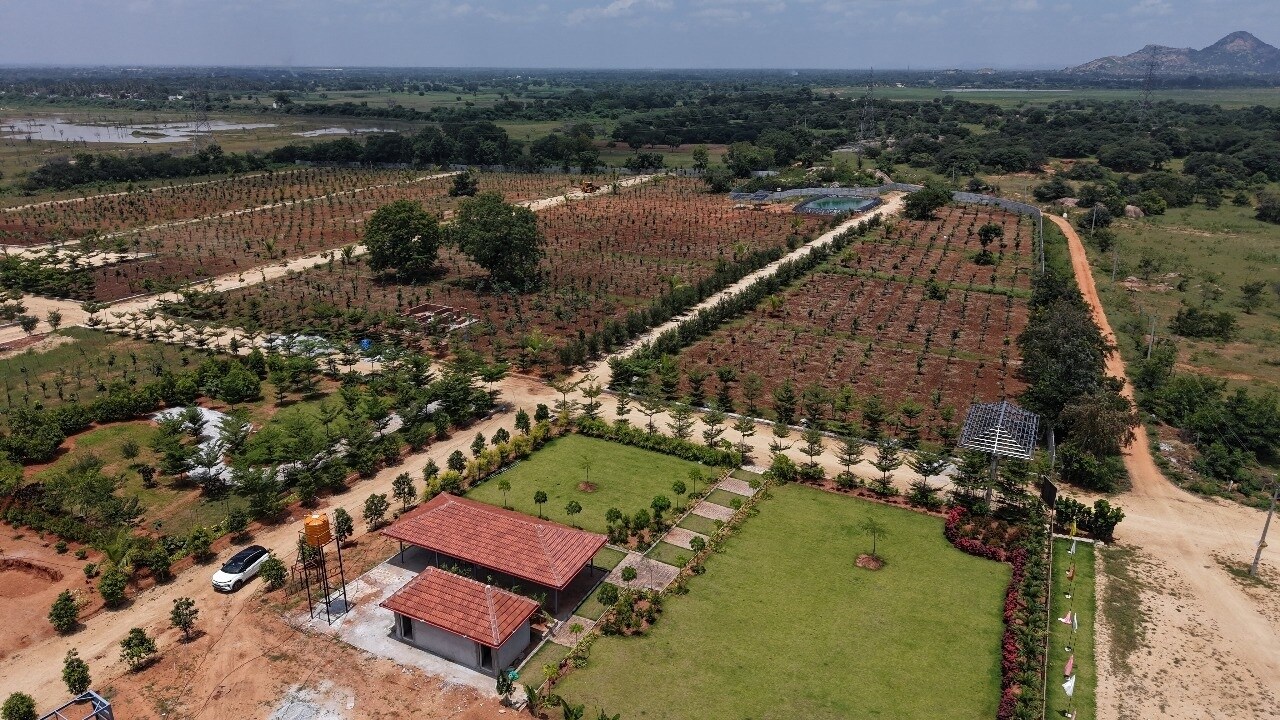 Neralu Sandal Valley