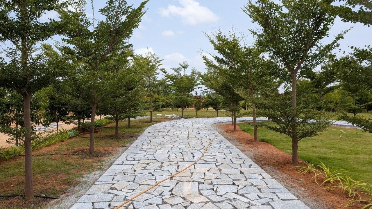 Neralu Sandal Valley