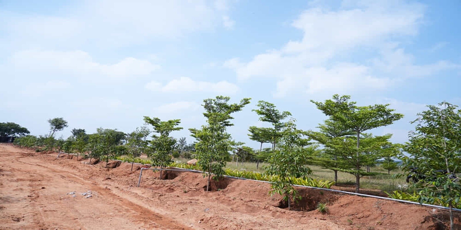 Neralu Sandal Valley