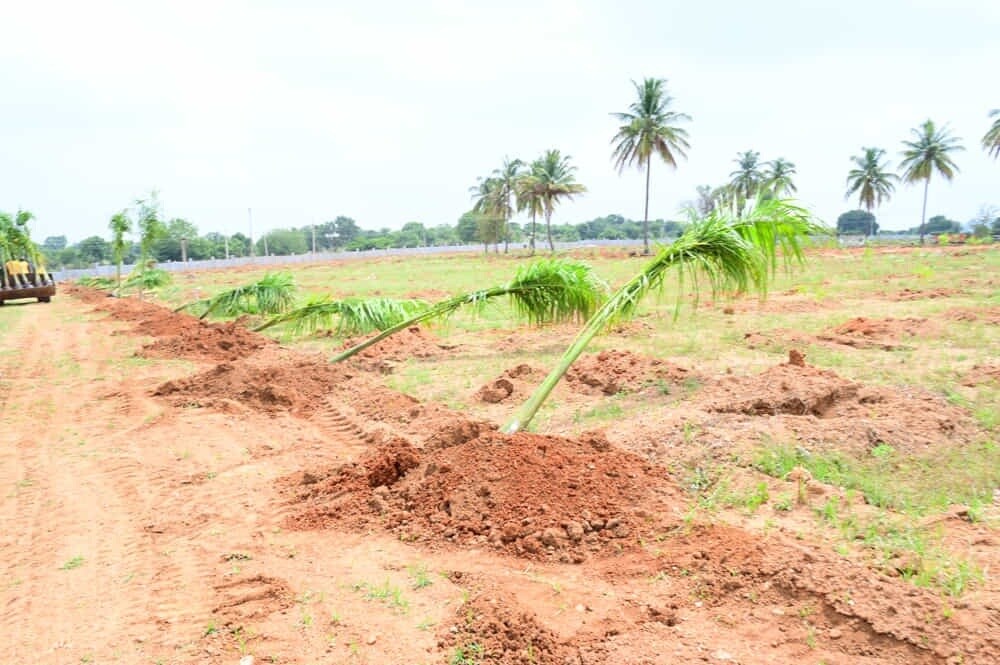 Neralu Sandal Valley