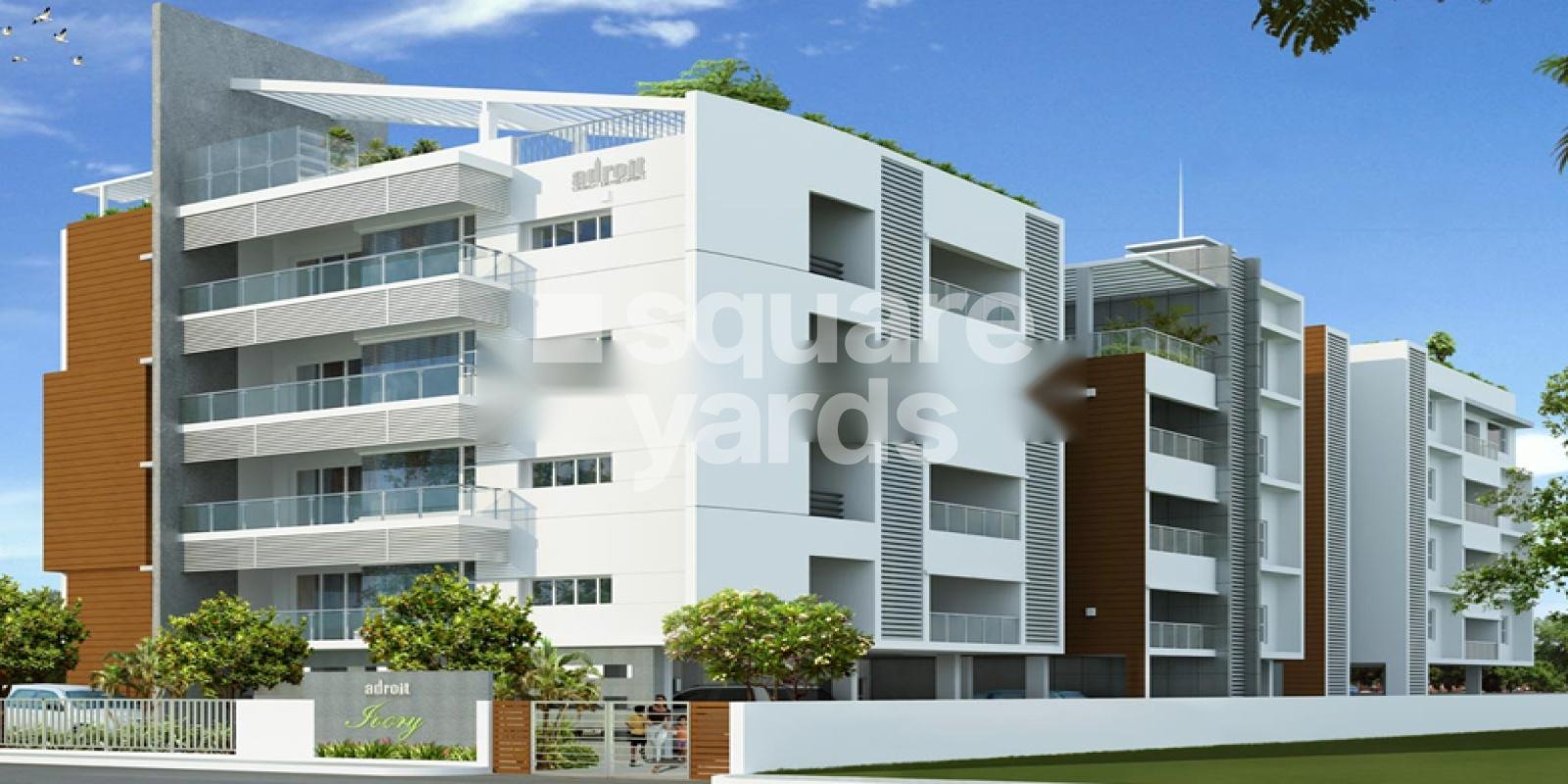 Adroit Ivory