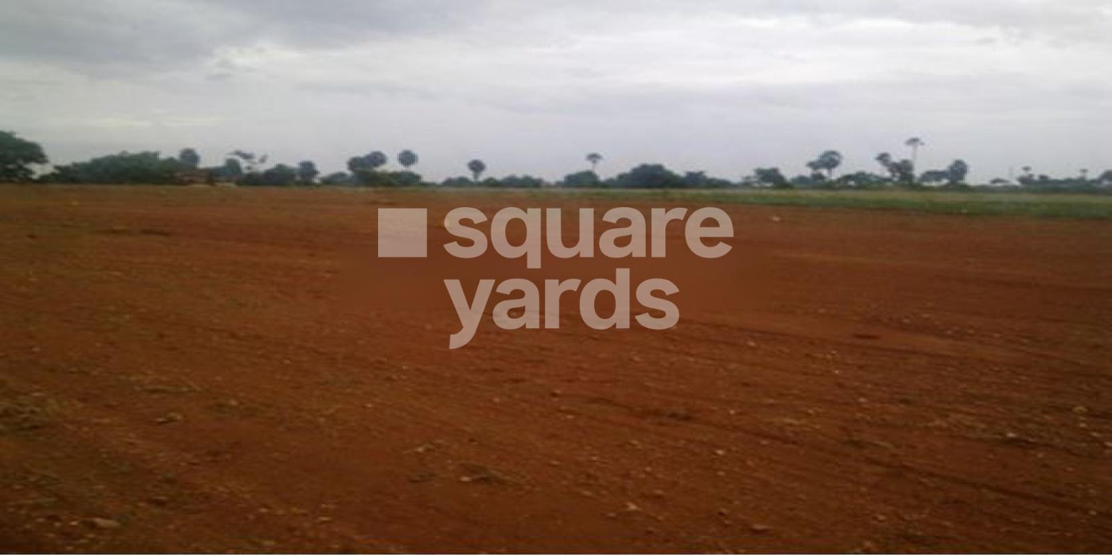 Arshi Hillview Garden