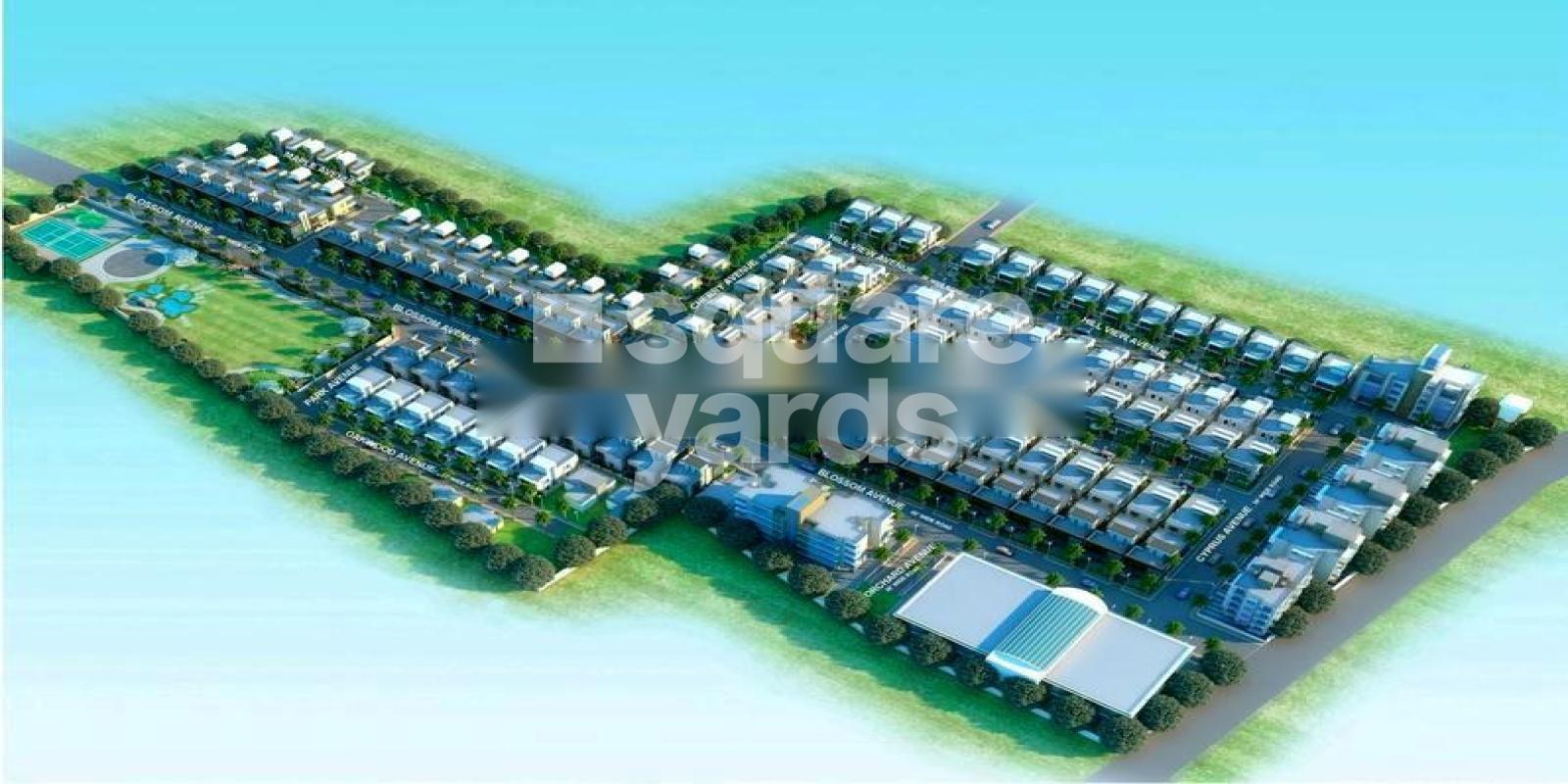 Balu Compendium Sri Sai Springfield