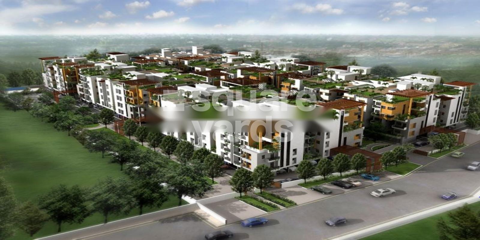 Coromandel Coral Ennar