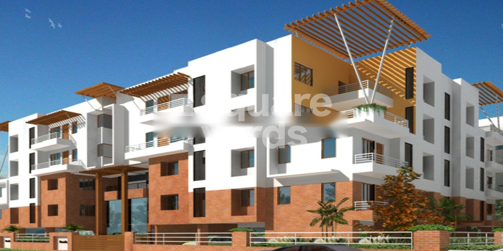 Coromandel Coral Roselin