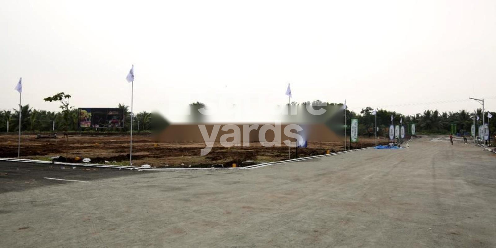 G Square Springfields