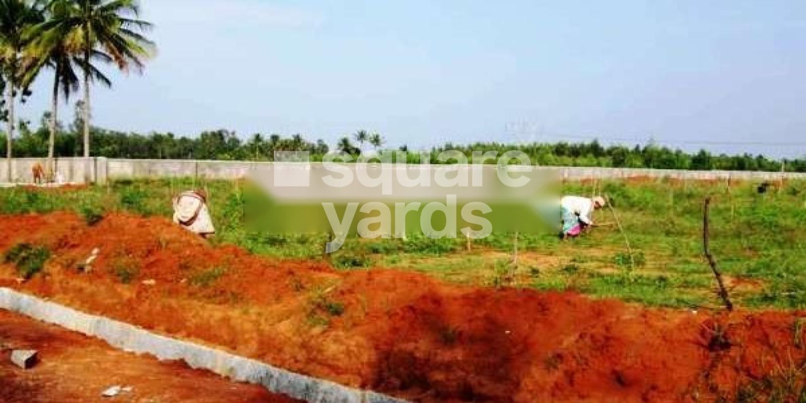 Government Employees Colony, Karamadai, Coimbatore