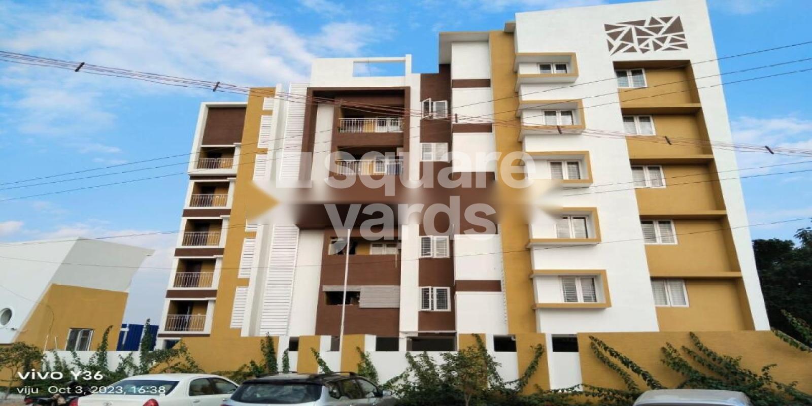 Green Field Bougainvillea Featured Image