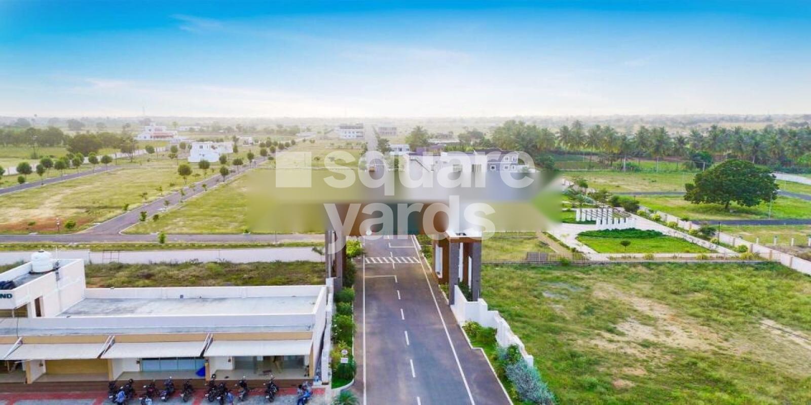 Green Field Fairland Featured Image