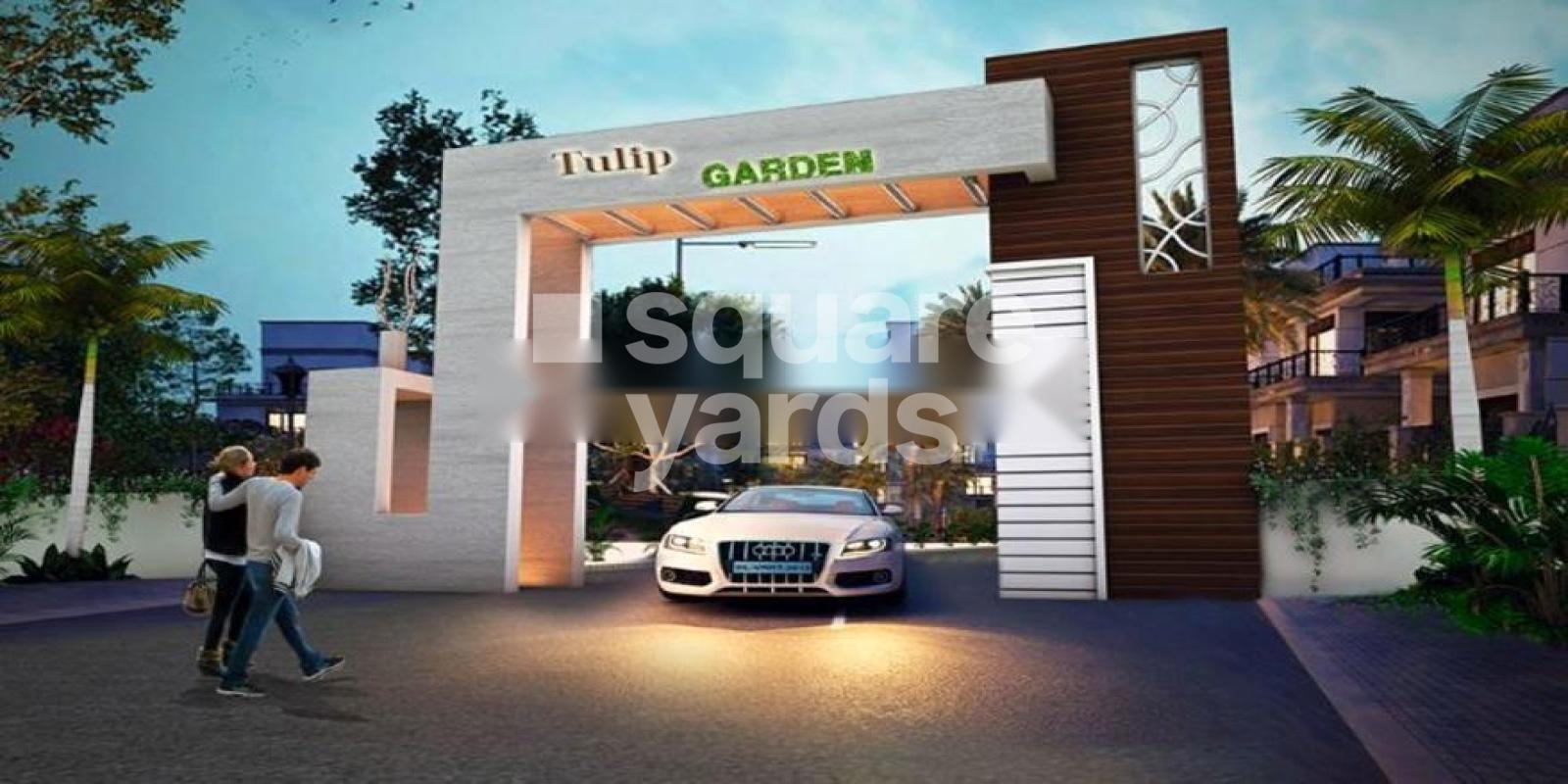 Green Field Tulip Garden