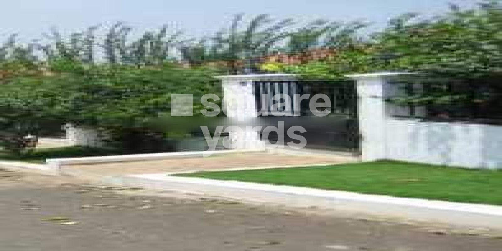 Green Home Western Welsh