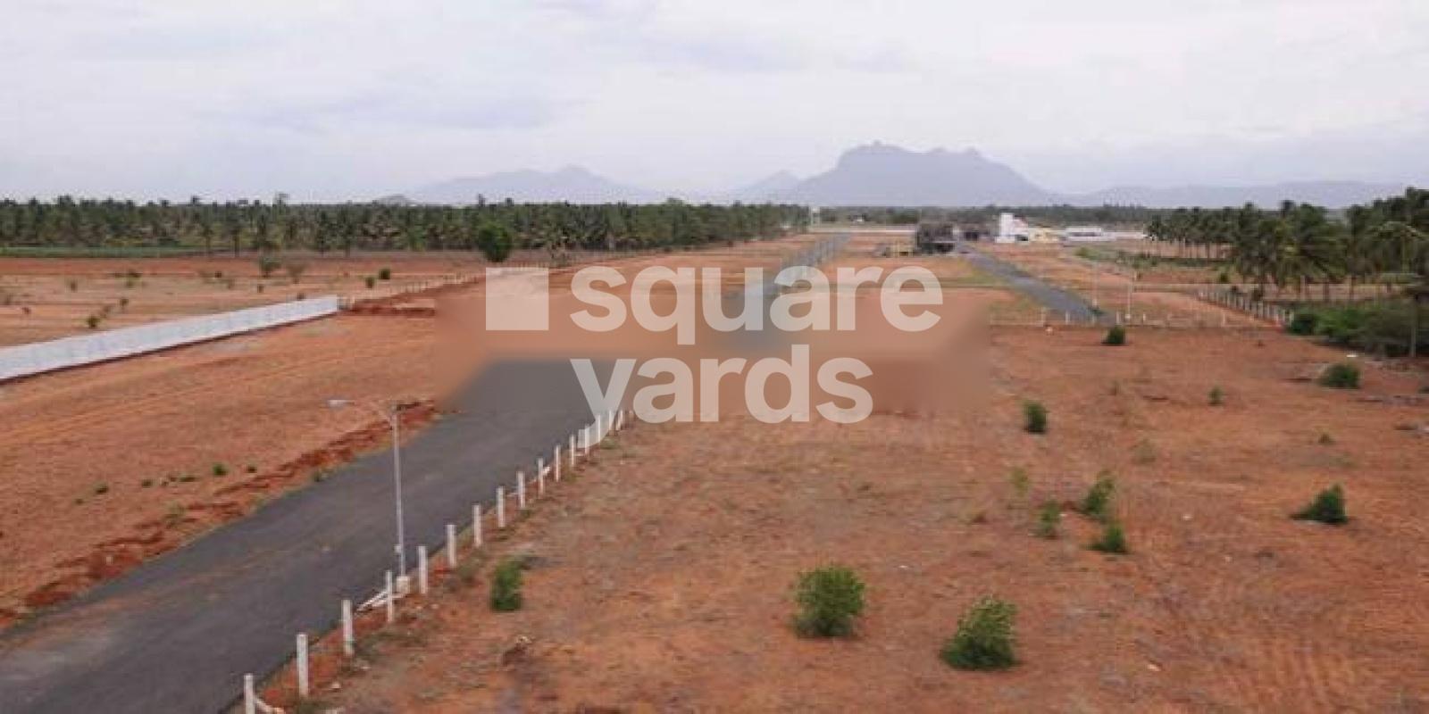 Green Meadows Featured Image