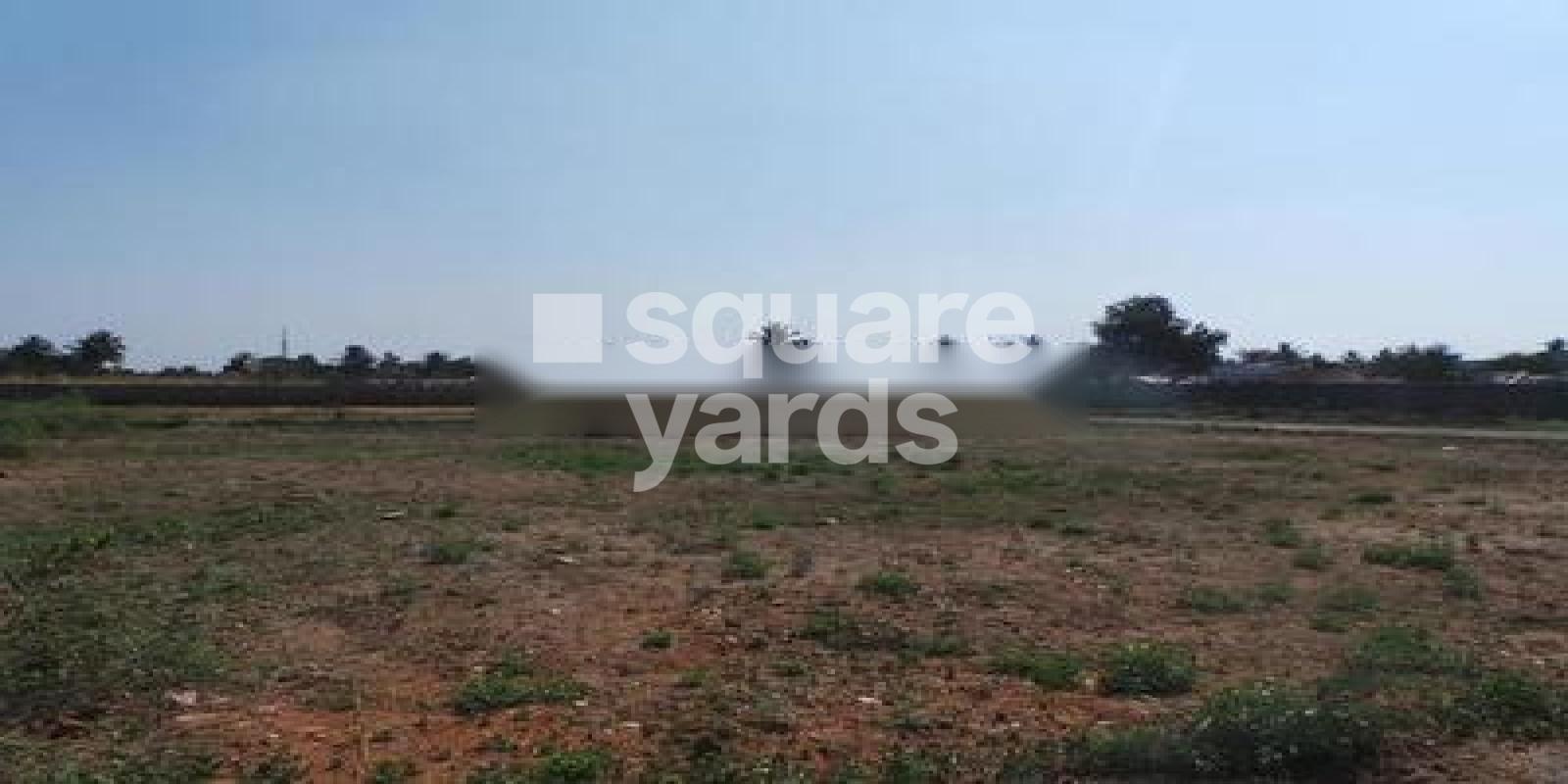 Krishna Colony Garden