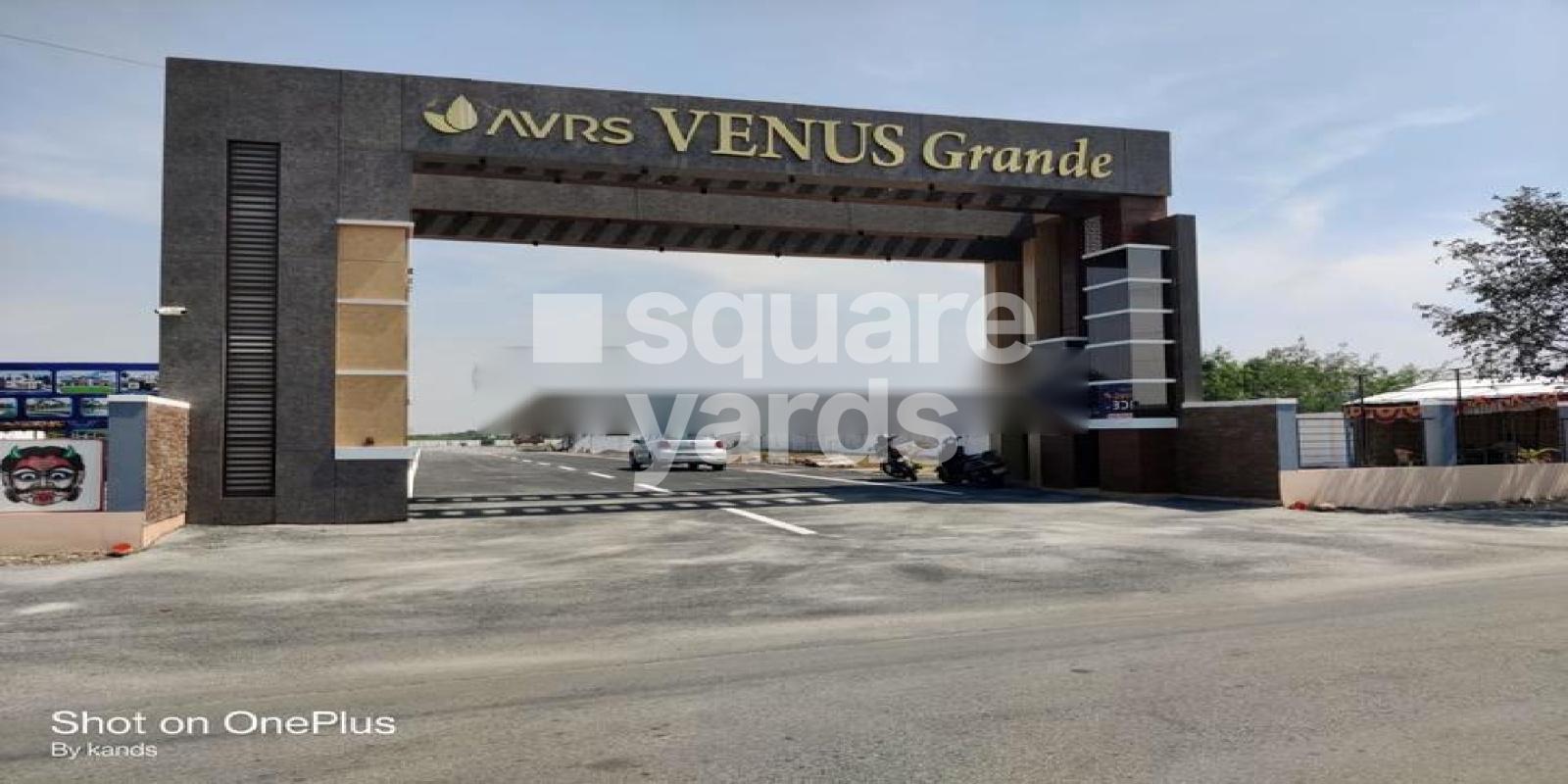 KS Avrs Venus Grande Cover Image