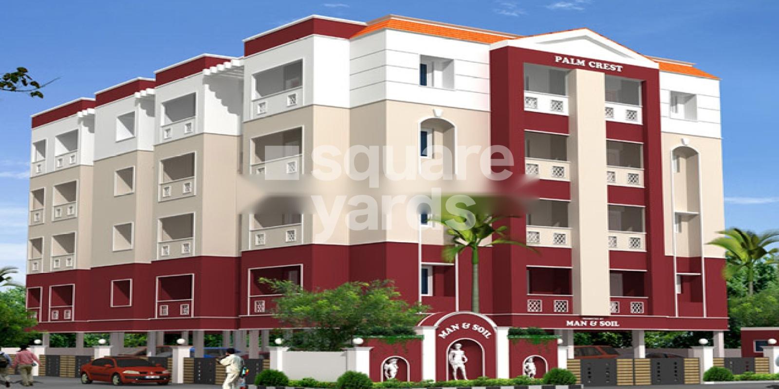 Man And Soil Palm Crest